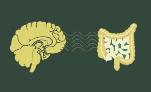 FTT_Stress có gây ra hội chứng ruột kích thích?