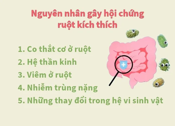 FTT_Hội chứng ruột kích thích ở nữ