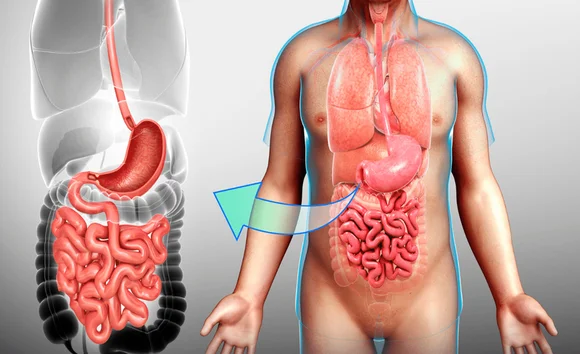 Đường tiêu hóa trên và dưới: Cách phân biệt và những bệnh lý cần lưu ý 