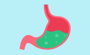 FTT_Vì sao dạ dày không tự tiêu hóa chính nó?