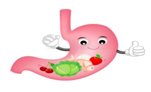 FTT_Niêm mạc dạ dày tái tạo thế nào? Khả năng tự hồi phục khi bị tổn thương