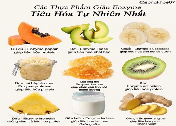 FTT_Thiếu enzym tiêu hóa: Dấu hiệu nhận biết và cách khắc phục