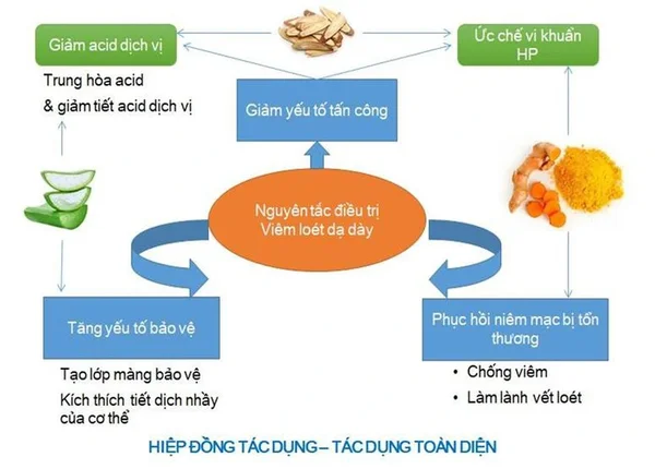 FTT_Vì sao dạ dày không tự tiêu hóa chính nó? 