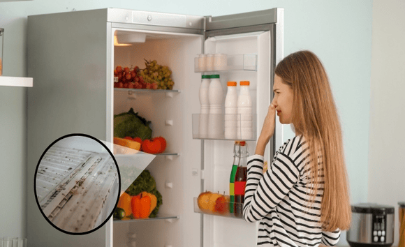 Nhiễm khuẩn chéo trong tủ lạnh: Hiểm họa “vô hình” Đối với đường ruột 