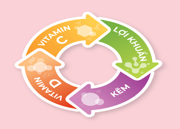 FTT_Vitamin và lợi khuẩn – bộ đôi hoàn hảo giúp cân bằng hệ miễn dịch đường ruột