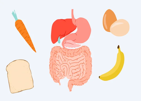 FTT_Dinh dưỡng bảo vệ ruột – Nền tảng để hệ miễn dịch vững vàng