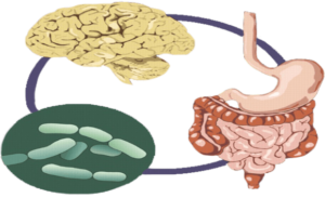 FTT_“Ruột cũng có cảm xúc” – Khi hệ tiêu hóa phản ứng với căng thẳng