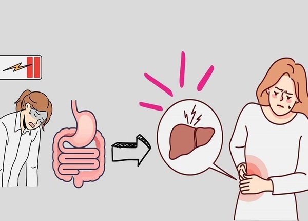 FTT_Khi gan không khỏe, dạ dày và đại tràng cũng “biểu tình”