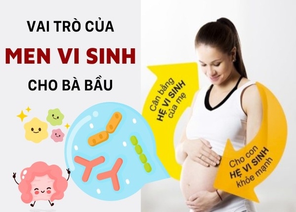 FTT_Men vi sinh có tốt cho bà bầu không? Lợi ích cho hệ tiêu hóa và thai nhi
