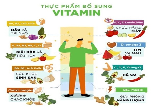 FTT_Vai trò của vitamin trong việc duy trì hệ tiêu hóa khỏe mạnh