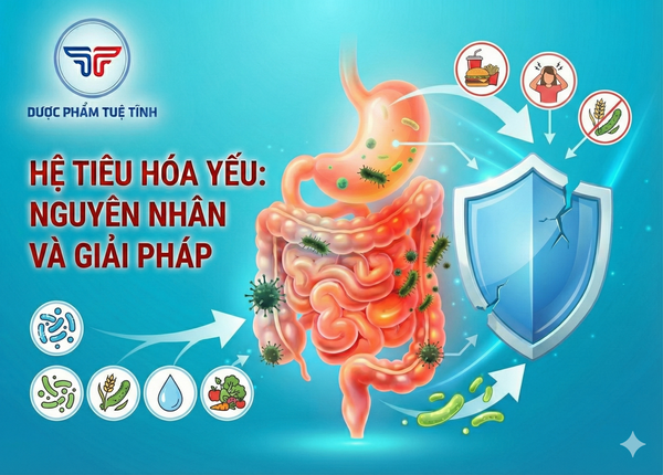 FTT_Hệ tiêu hóa yếu và miễn dịch kém: Mối liên hệ ít người biết