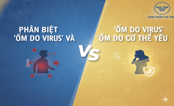 Phân biệt “ốm do virus” và “ốm do cơ thể yếu” – cách chăm khác nhau để mau khỏi bệnh