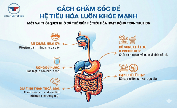 Vai trò của ruột non, ruột già và dạ dày trong tiêu hóa – hiểu để bảo vệ sức khỏe từ bên trong