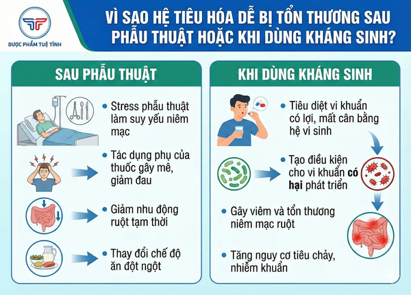 FTT_Chăm sóc hệ tiêu hóa sau phẫu thuật hoặc khi dùng kháng sinh