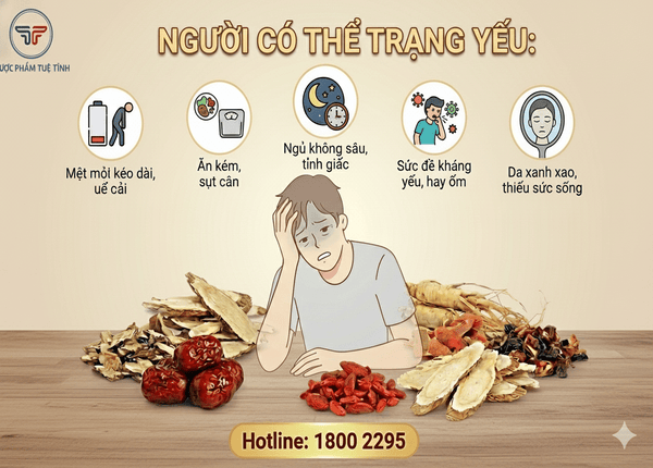 FTT_Dưỡng khí huyết, bổ tỳ vị – Bí quyết Đông y cho người thể trạng yếu
