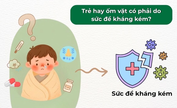 Trẻ nhỏ hay ốm vặt: Cha mẹ nên làm gì để bé khỏe hơn mà không lạm dụng thuốc?