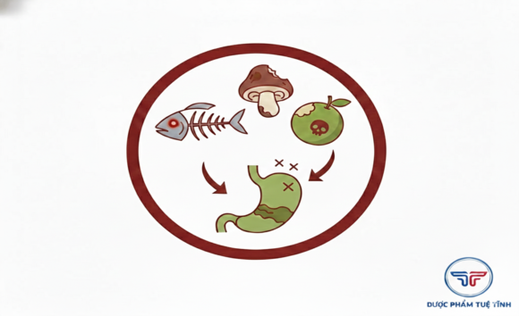 Thực phẩm dễ gây ngộ độc nếu ăn sai cách – đừng chủ quan với sức khỏe tiêu hóa