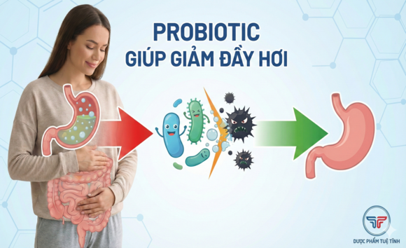 Probiotic Giúp Giảm Đầy Hơi Như Thế Nào? Lợi Ích Đã Được Khoa Học Chứng Minh