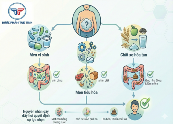 FTT_Men vi sinh, men tiêu hóa và chất xơ hòa tan: nên dùng loại nào khi bị đầy hơi?