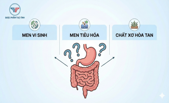 Men vi sinh, men tiêu hóa và chất xơ hòa tan: nên dùng loại nào khi bị đầy hơi?