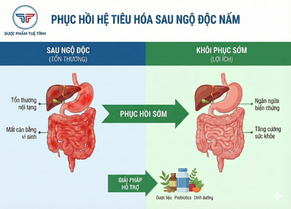 FTT_Nấm độc và nguy cơ gây tử vong – dấu hiệu phân biệt nấm an toàn
